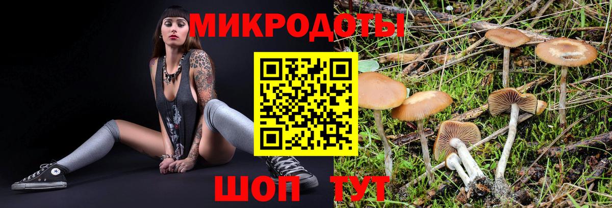 Псилоцибиновые грибы прущие грибы Москва